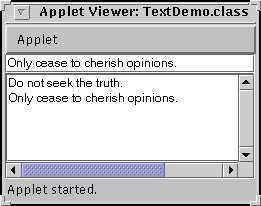 A snapshot of TextDemo, which uses a standard text field and a standard text area.