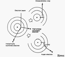 Production of characteristic x-rays and Auger electrons - Kevex 1988