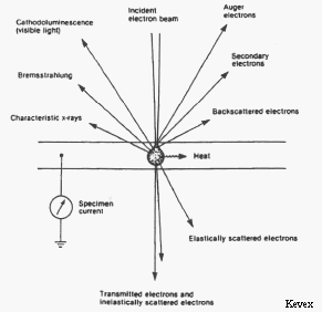 Types of signals produced by the electron microprobe - Kevex 1988