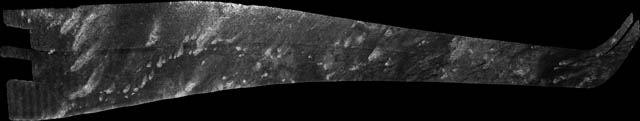 T41 swath