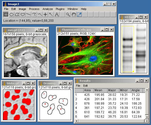 fiji imagej intensity bar