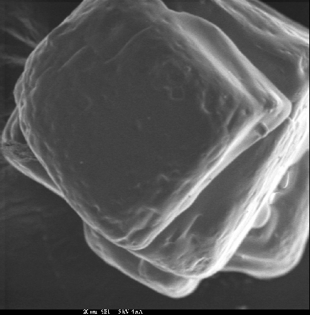 Secondary electron image of table salt.