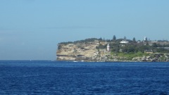 IMGP0334