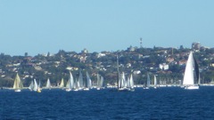 IMGP0338